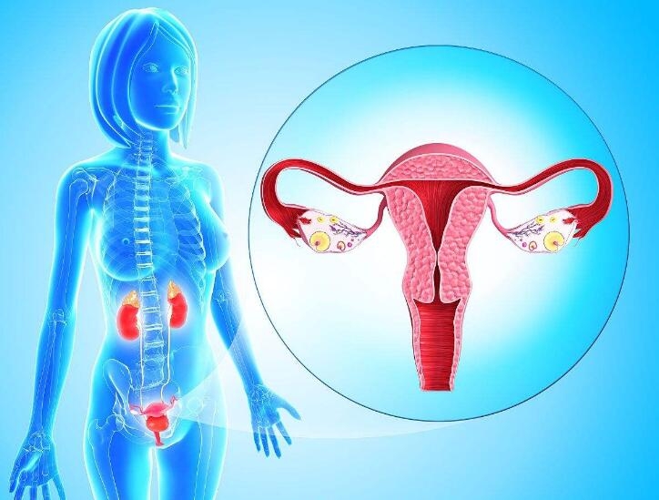 南寧美容學(xué)校：常見的卵巢保養(yǎng)按摩手法