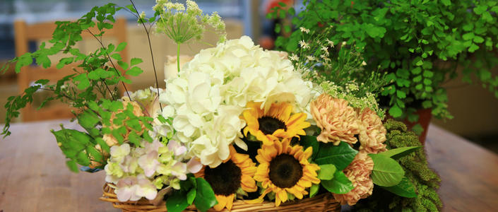 1582809621282651.jpg u=1207721075,430638842&fm=11&gp=0.jpg