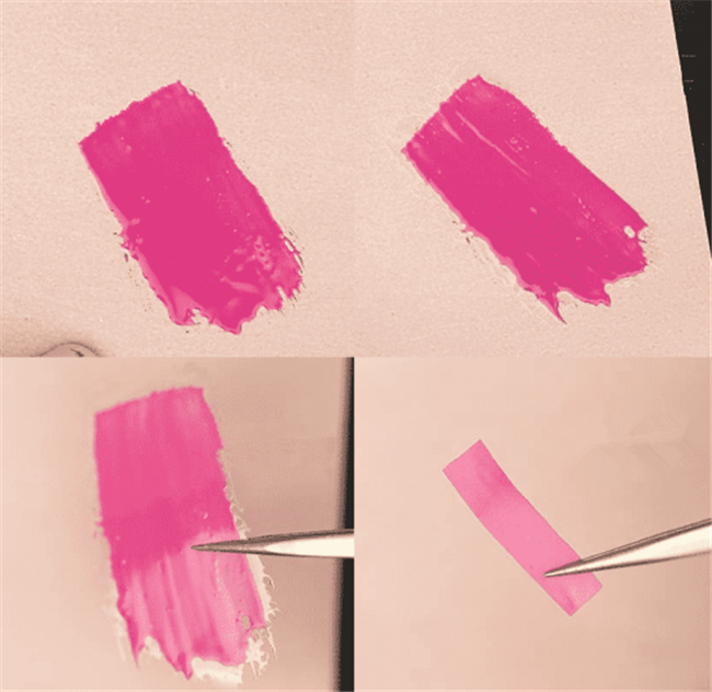 1584340919283492.png 4.png