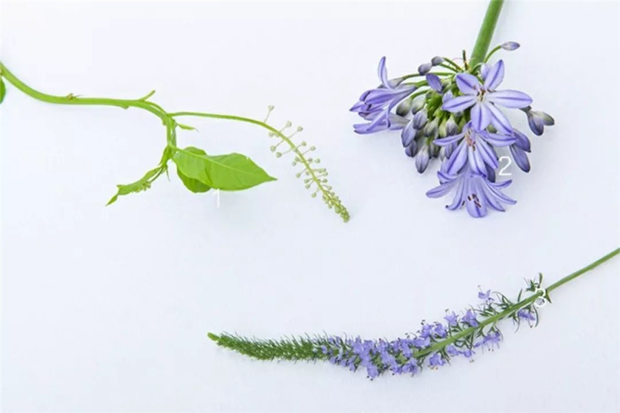 1594888524851352.jpg 1.jpg