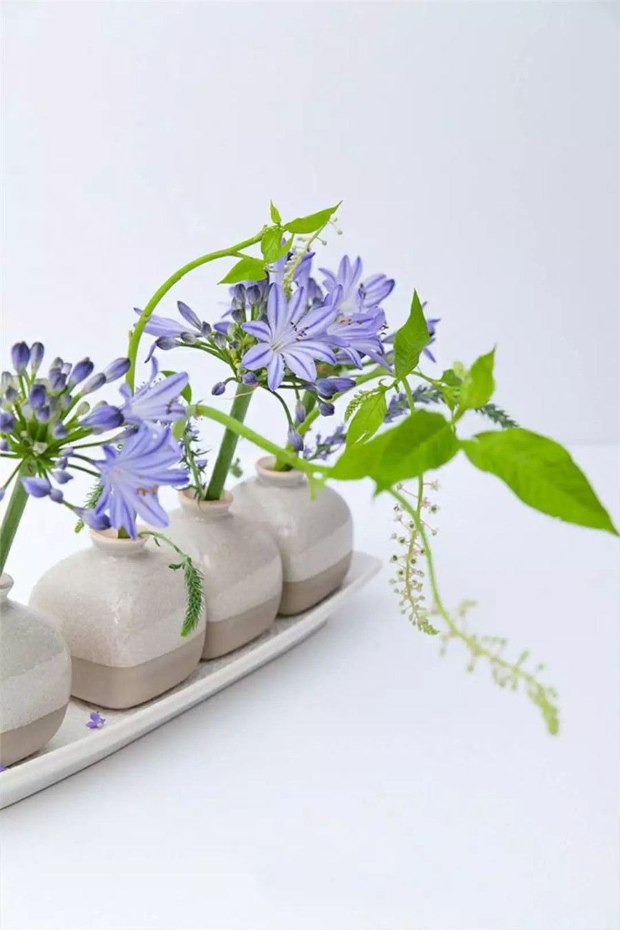 1594888564413339.jpg 8.jpg