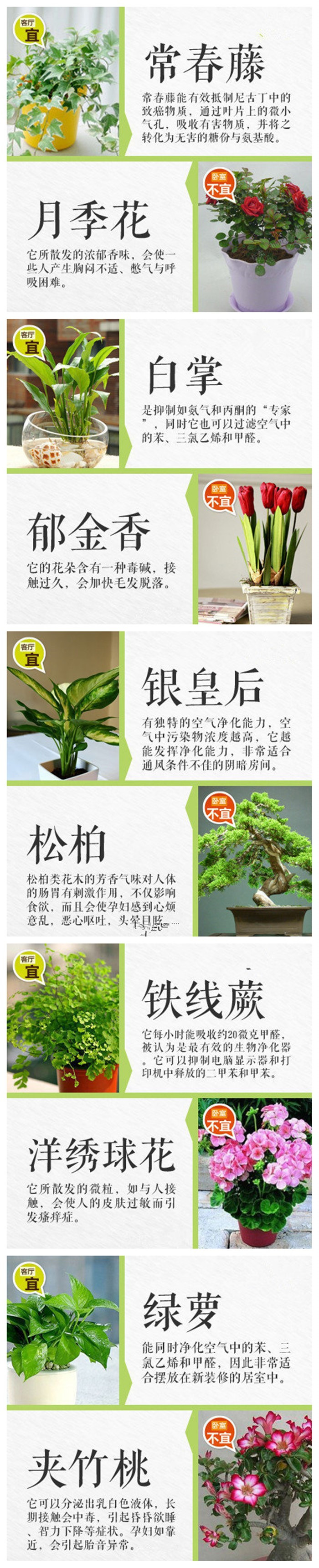 1596511611999020.jpg 001.jpg