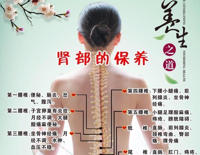 南寧美容培訓：腎部保養(yǎng)銷售話術