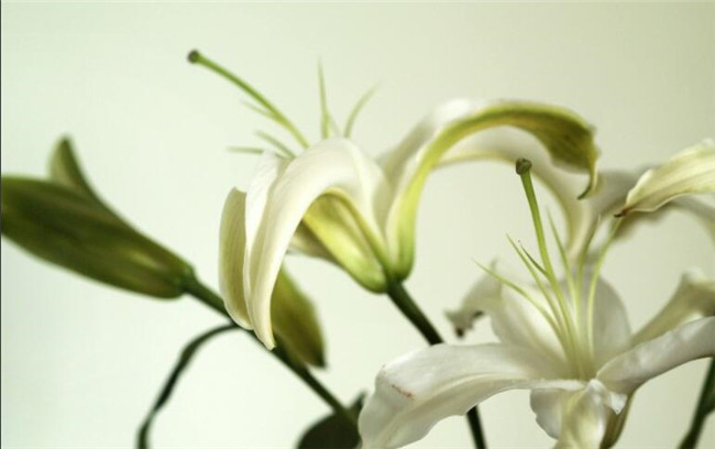 1617333042874381.jpg 7.jpg