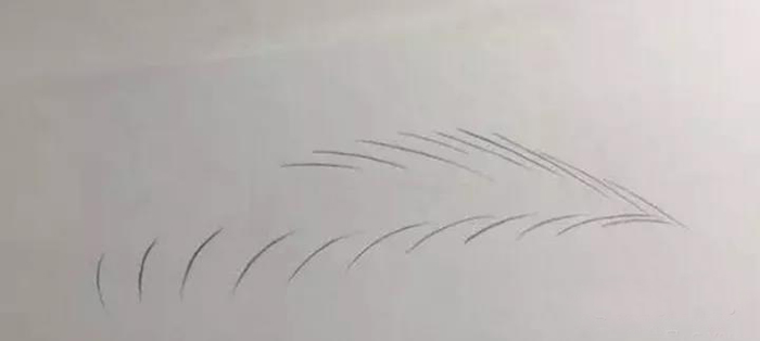 1621321288279310.jpeg 01.jpeg