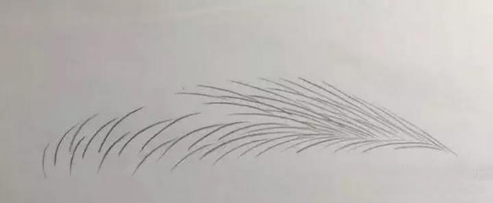 1621321344929340.jpeg 03.jpeg