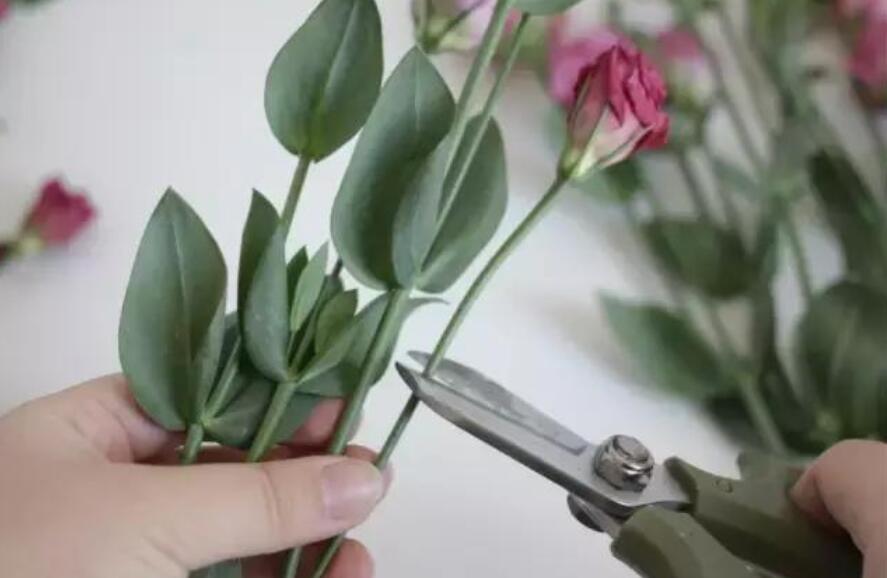 1622099001299450.jpg QQ截圖20210527144744.jpg