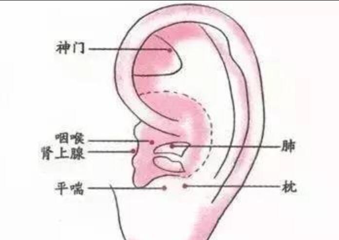 如何正確艾灸耳朵？南寧美容學(xué)校幫你整理教程