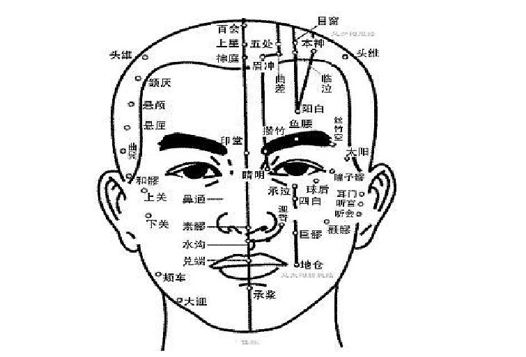 南寧美容培訓課程：認識頭部經(jīng)絡的走向