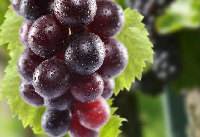 1627461594251545.jpg QQ截圖20210728150251.jpg