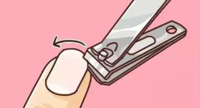 1630505498409687.jpg 517_副本.jpg