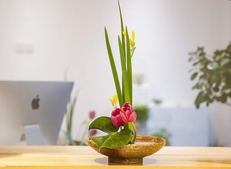 1632647660891643.jpg QQ截圖20210926171409.jpg