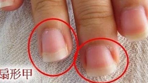 1635997448158029.jpg 1.jpg