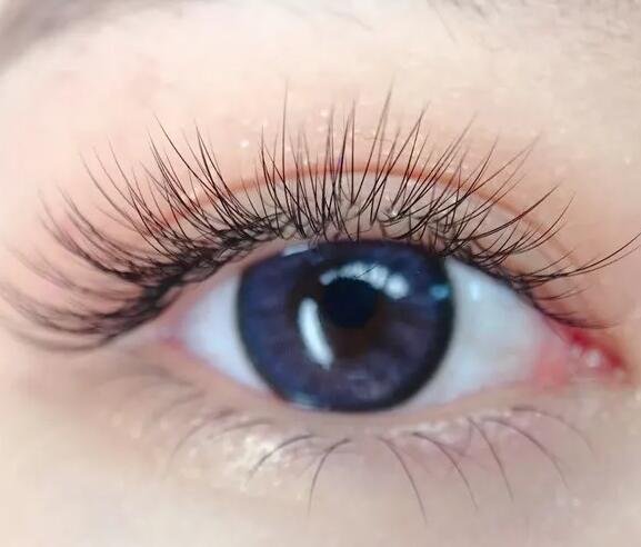 美睫款式怎么挑？麗竹美睫培訓班教你