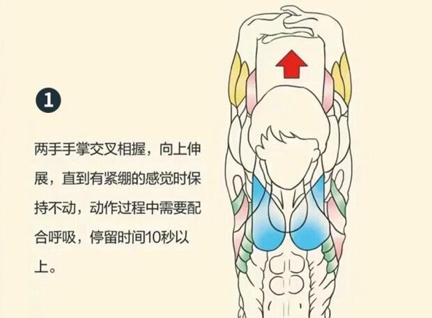 南寧美容師培訓(xùn)要學(xué)什么？背部護(hù)理就是其中一項(xiàng)