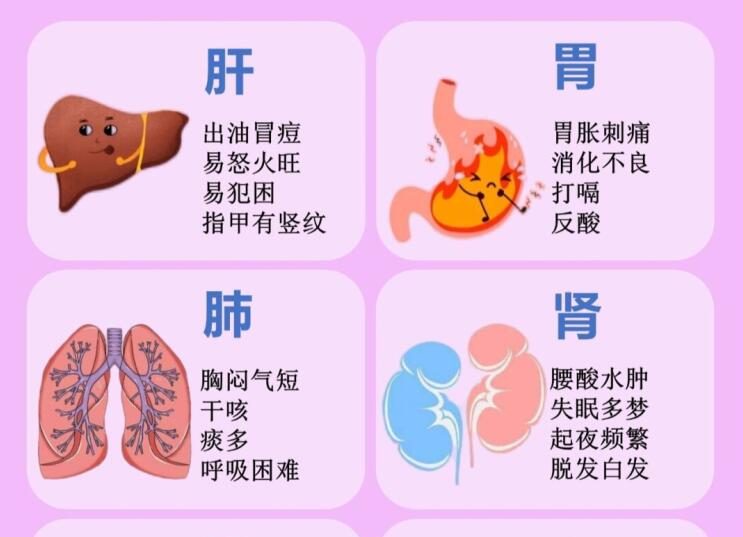 6大臟器保養(yǎng)指南，6款養(yǎng)生茶喝起來 ???