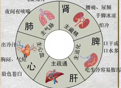 人體不同部位受寒的表現(xiàn)，廣西中醫(yī)美容培訓(xùn)分享