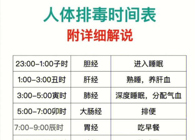 人體排毒時(shí)間表，南寧美容專業(yè)學(xué)校詳細(xì)解說