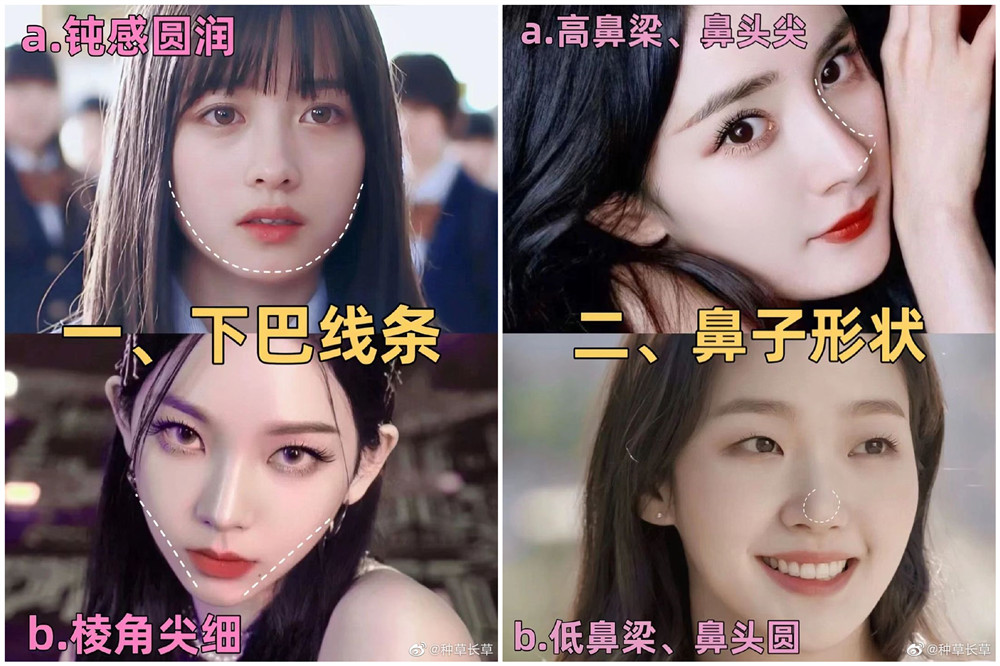 彩妝妝容分析分享：自測(cè)動(dòng)物系長(zhǎng)相？