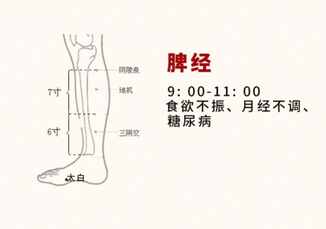 日常容易堵塞的身體部位，廣西美容基礎(chǔ)教學(xué)