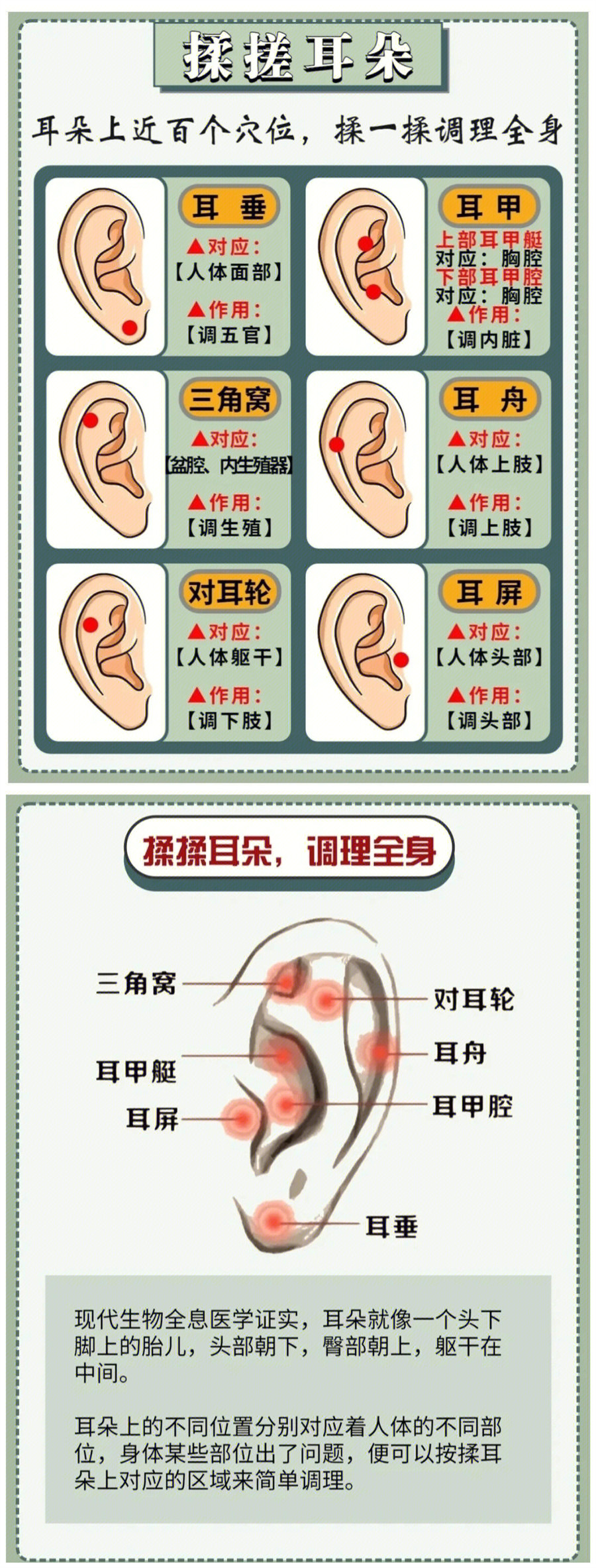 1676513045217494.jpg 301.jpg