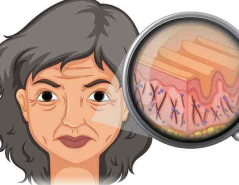 女性如何延緩衰老？南寧皮膚管理培訓(xùn)班講解