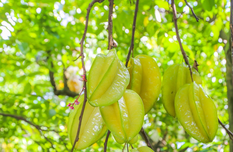 廣西美容護(hù)膚養(yǎng)顏班：春天吃什么水果好？