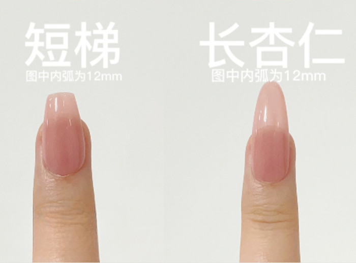 美甲基礎技能：穿戴甲甲型