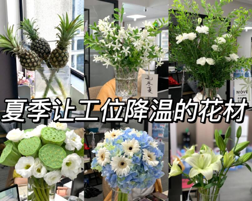 自帶降溫效果的花材，廣西學(xué)鮮花技術(shù)