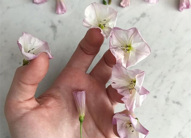 植物藝術(shù)美甲，南寧美甲造型設(shè)計(jì)培訓(xùn)分享