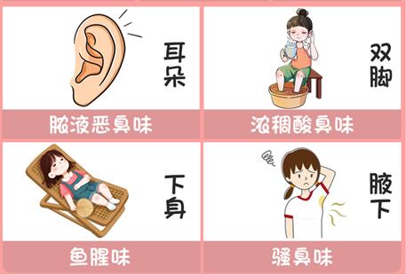 體味重的部位和緩解方法，廣西美容美體專業(yè)介紹