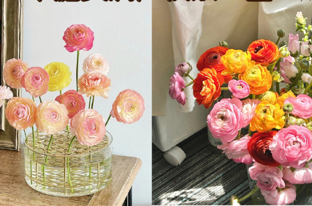 小眾但花語很美的花卉，南寧鮮花知識培訓