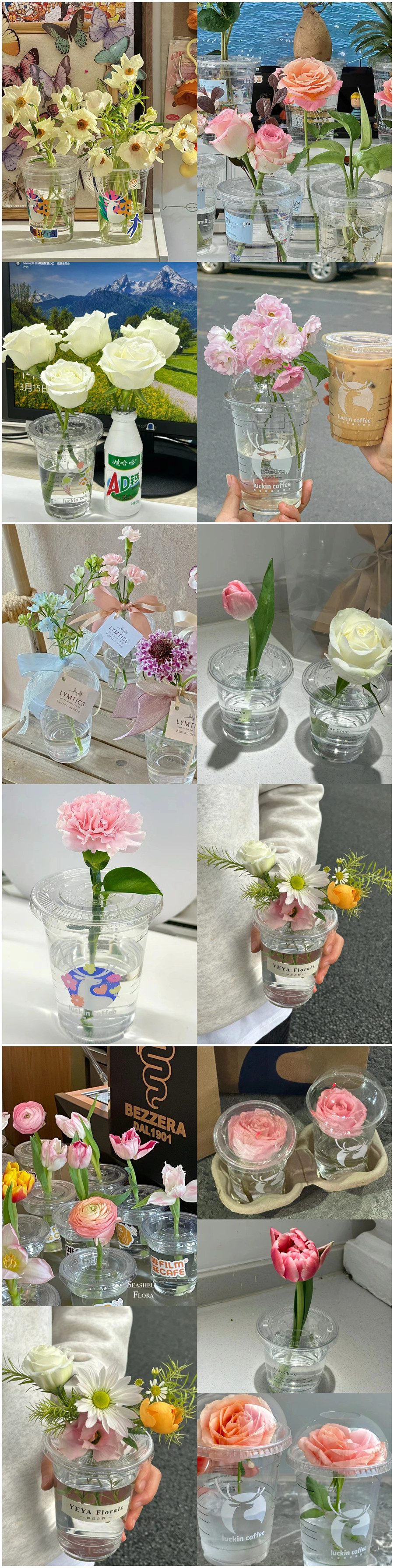 1711798099769346.jpg 101.jpg