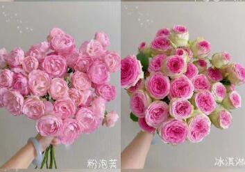 南寧花藝工作室里小眾特色玫瑰花材