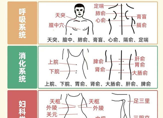 不同部位三伏貼艾灸作用，廣西美體中醫(yī)培訓(xùn)