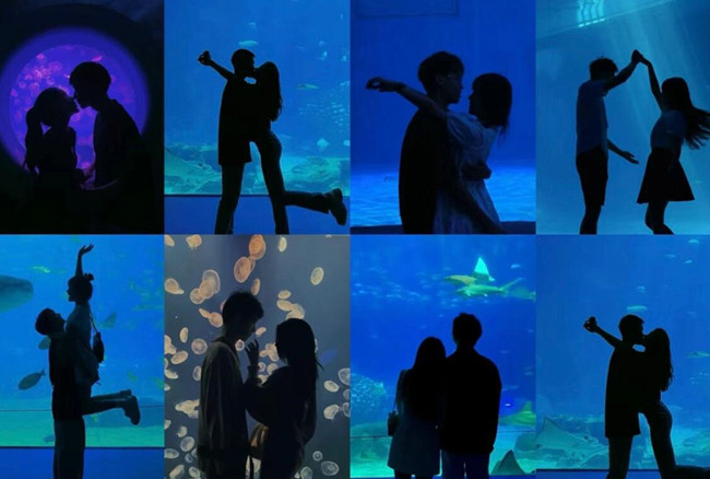 在海洋館怎么拍照？廣西人物形象設(shè)計(jì)專業(yè)支招