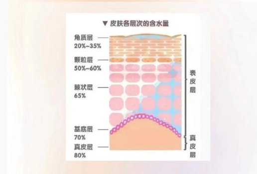 皮膚越補水越干？廣西美容護膚中心分析原因